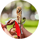 Kategorie - Snacks